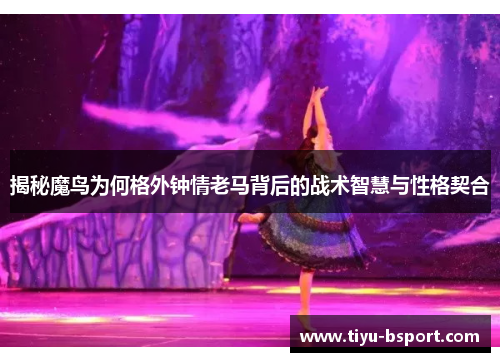 揭秘魔鸟为何格外钟情老马背后的战术智慧与性格契合