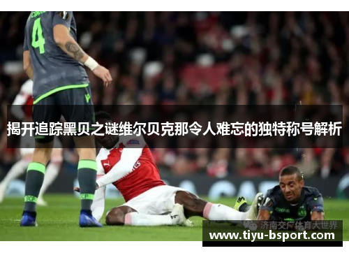 揭开追踪黑贝之谜维尔贝克那令人难忘的独特称号解析 揭开追踪黑贝之谜维尔贝克那令人难忘的独特称号解析